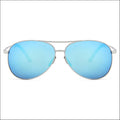 Aviator Classic HD Polarized Sunglasses - Sunglasses