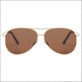 Aviator Classic HD Polarized Sunglasses - Sunglasses